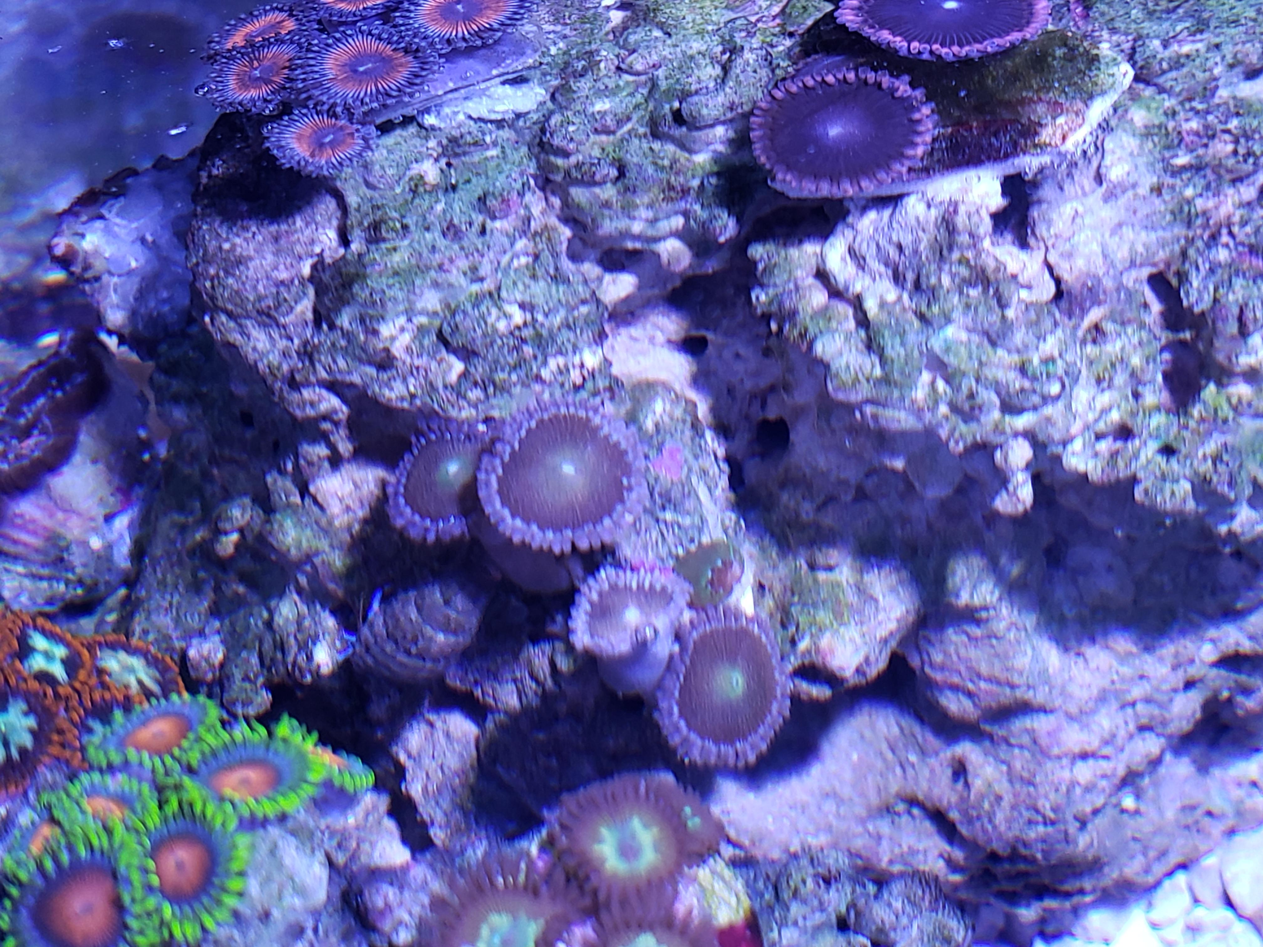 68IyKCX.jpg