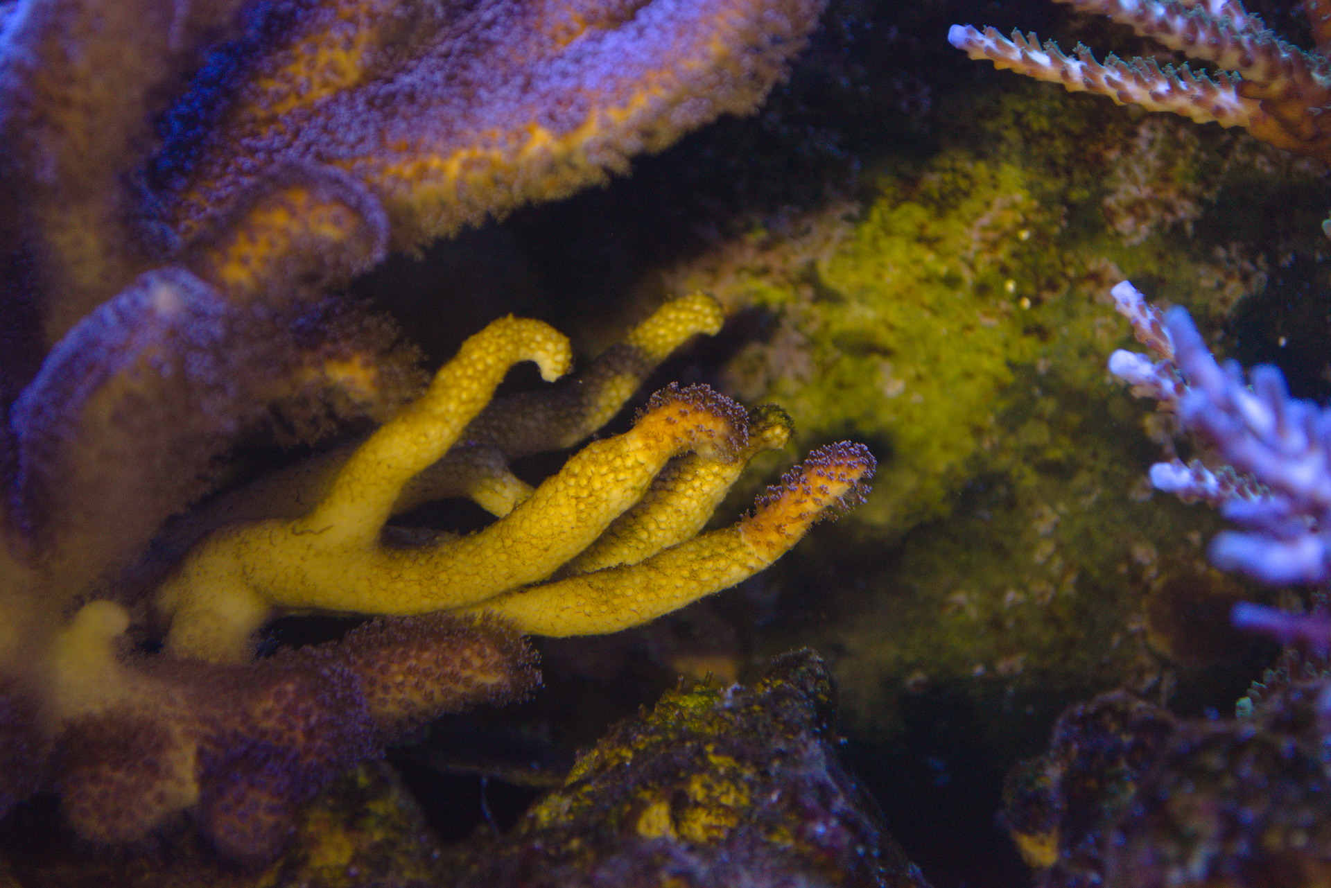 E8Sb4UD.jpg