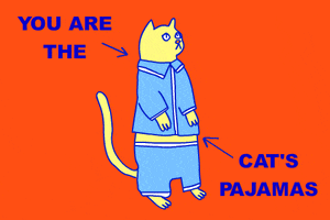 You Are The Cats Pajamas GIF by GIPHY Studios Originals