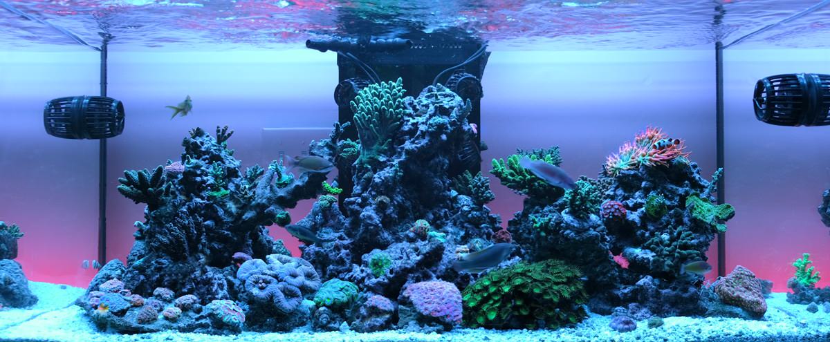 gpwbc5C.jpg