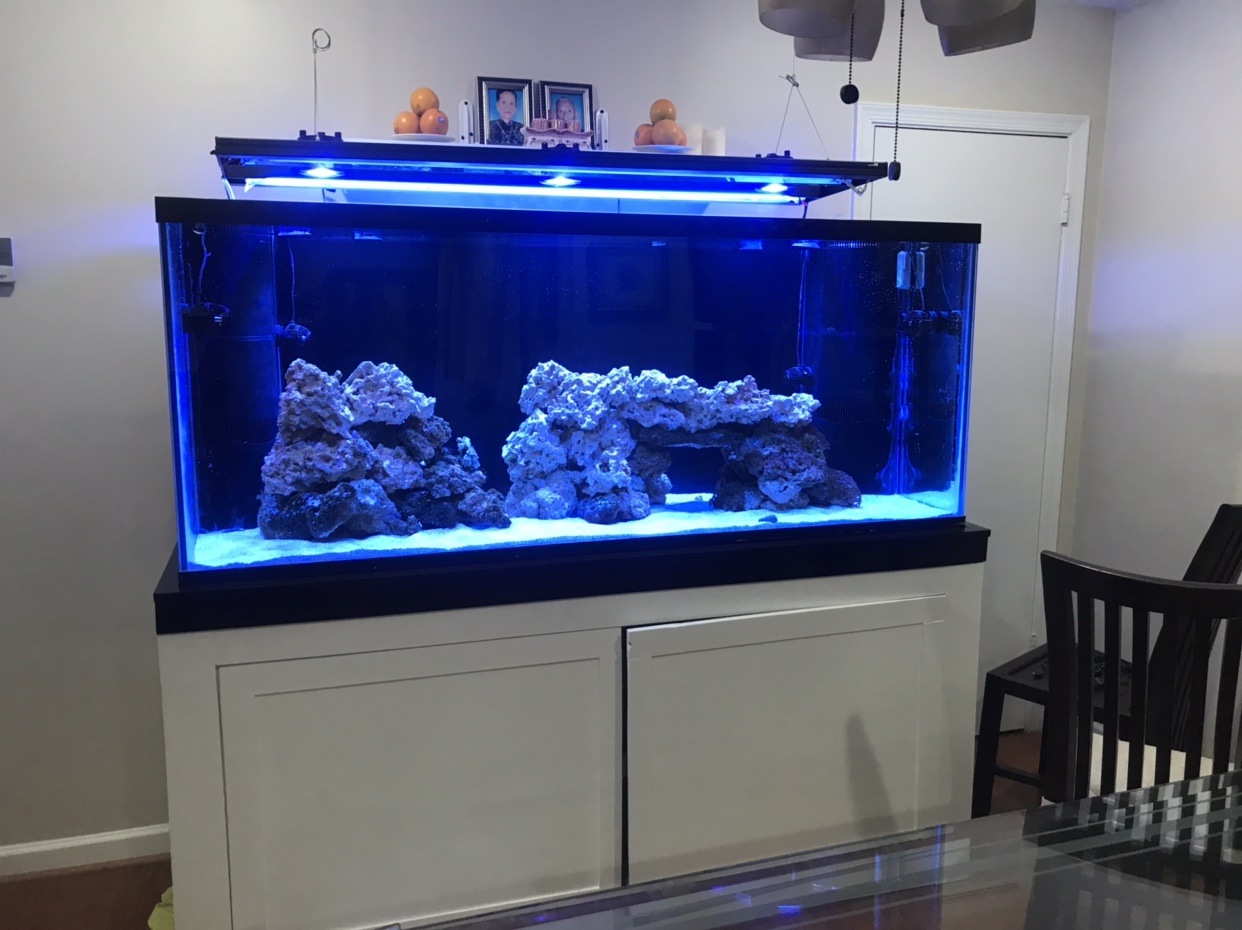 fef6cdbd80074439dcb8ba6c40e86cf3.jpg