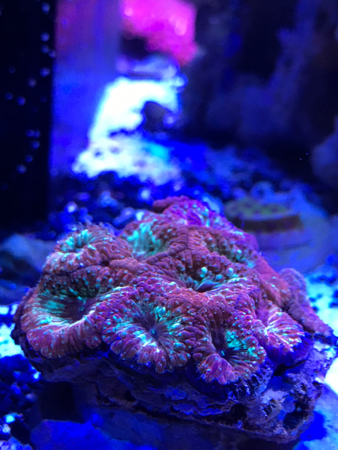 77576af5f69356e033112e5dcdf478d9.jpg