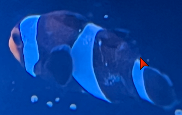 Hf73dv8.png