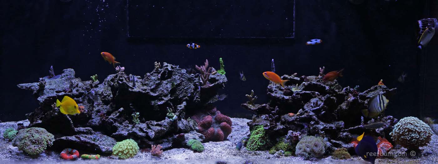 Full-Tank-Feb-18-2018-pic1.jpg