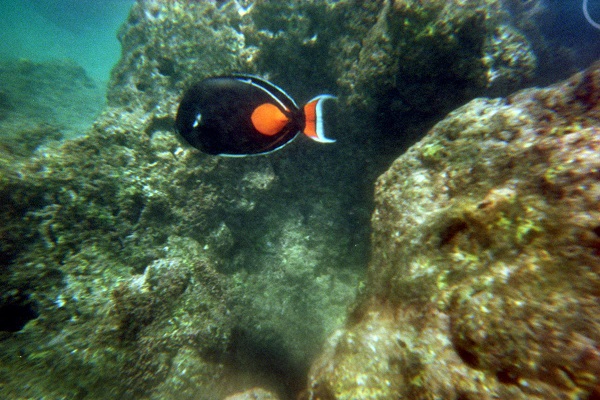 ESy5qo9.jpg