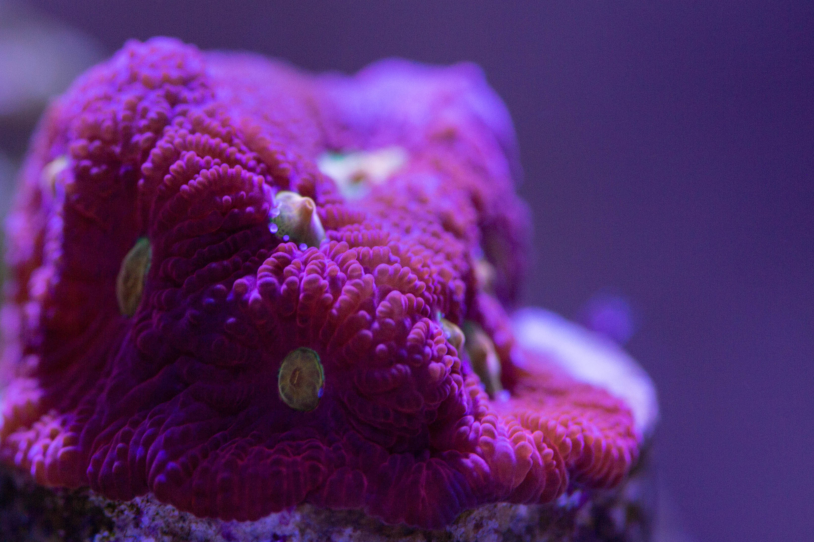 zvJFUwY.jpg
