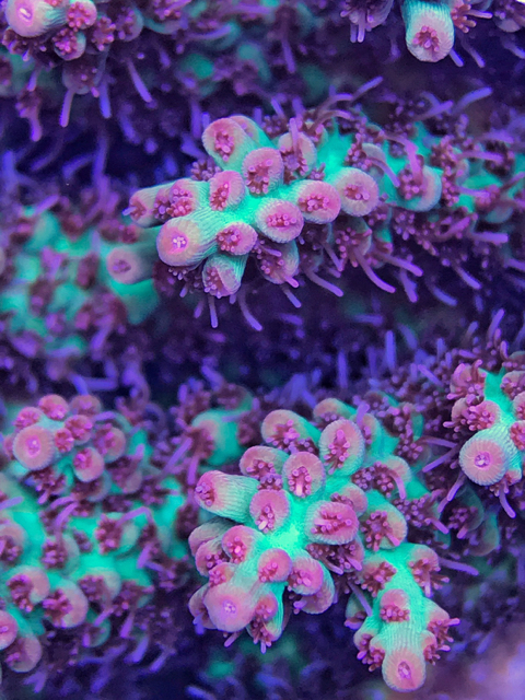2cd8e69f93b974335ab497513c08e95b.jpg