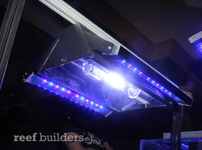reebrite-halide-led-lybrid.jpg