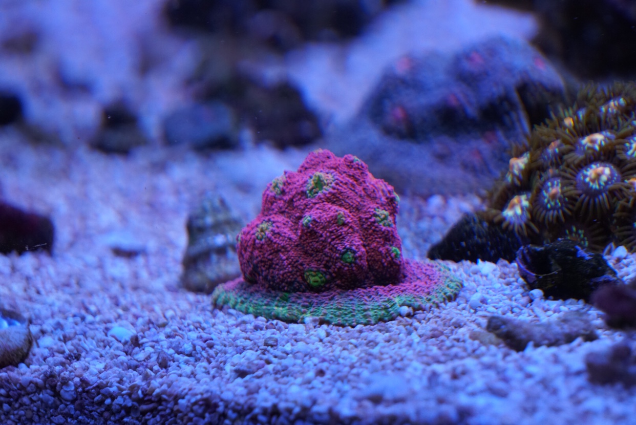 afdddd80fe89b43f171617478e2ec5ef.jpg