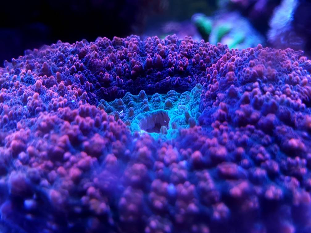 67faa590c4bbb91e009d6b1b3a3dfd96.jpg