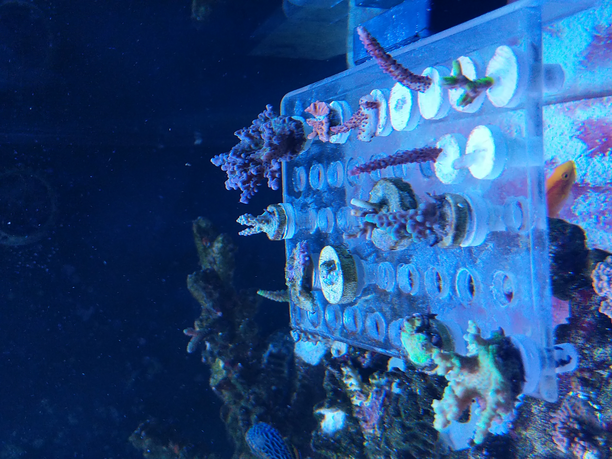 ebce7829fa016df74eefbb129303a4e6.jpg