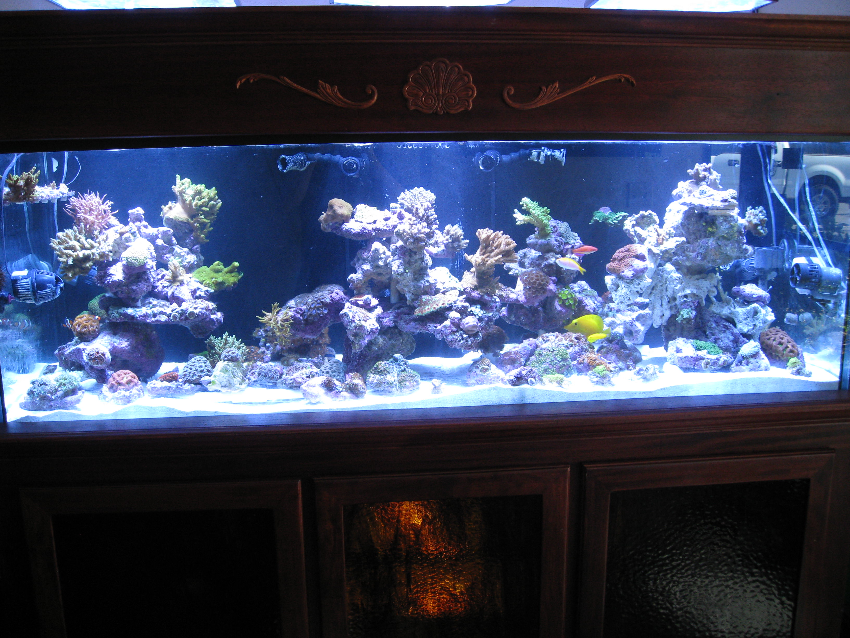 8nSu08P.jpg