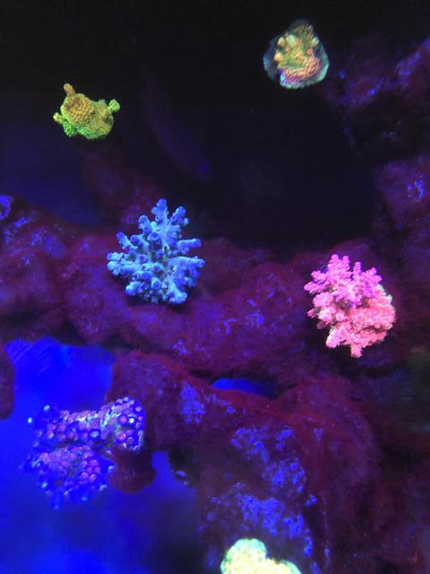 9p2rJFj.jpg