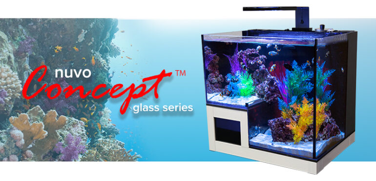 ReefBuilders-770x371.jpg