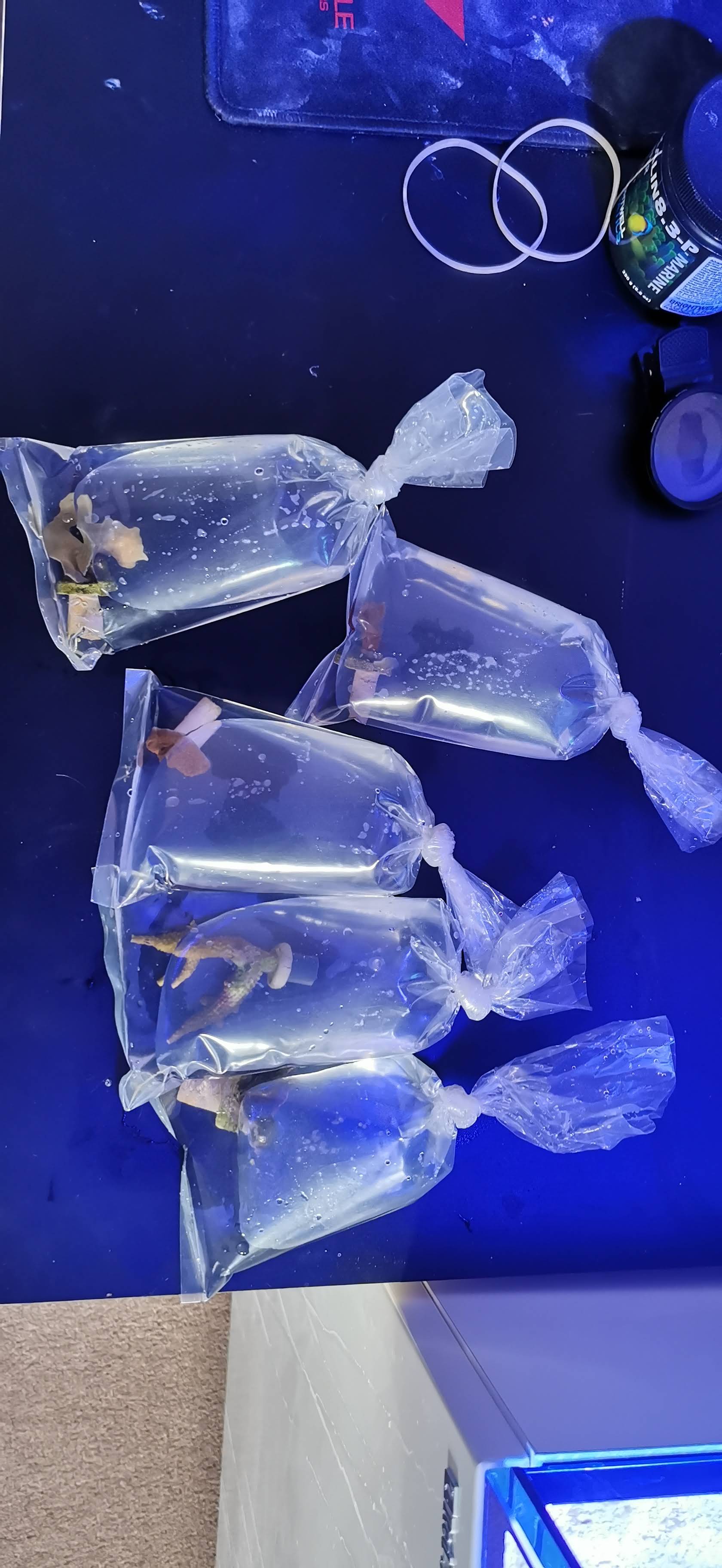 hhGen6b.jpg