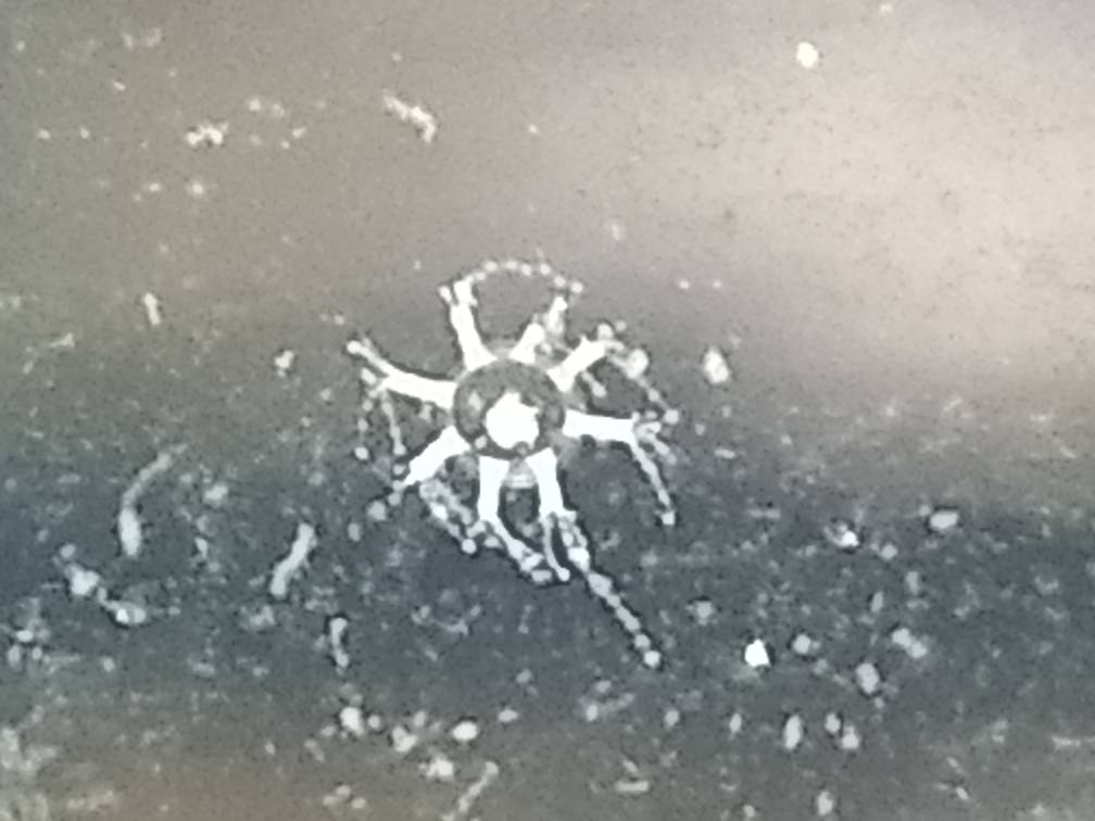 85de6118becb568cd55f2a8cfddeaee5.jpg