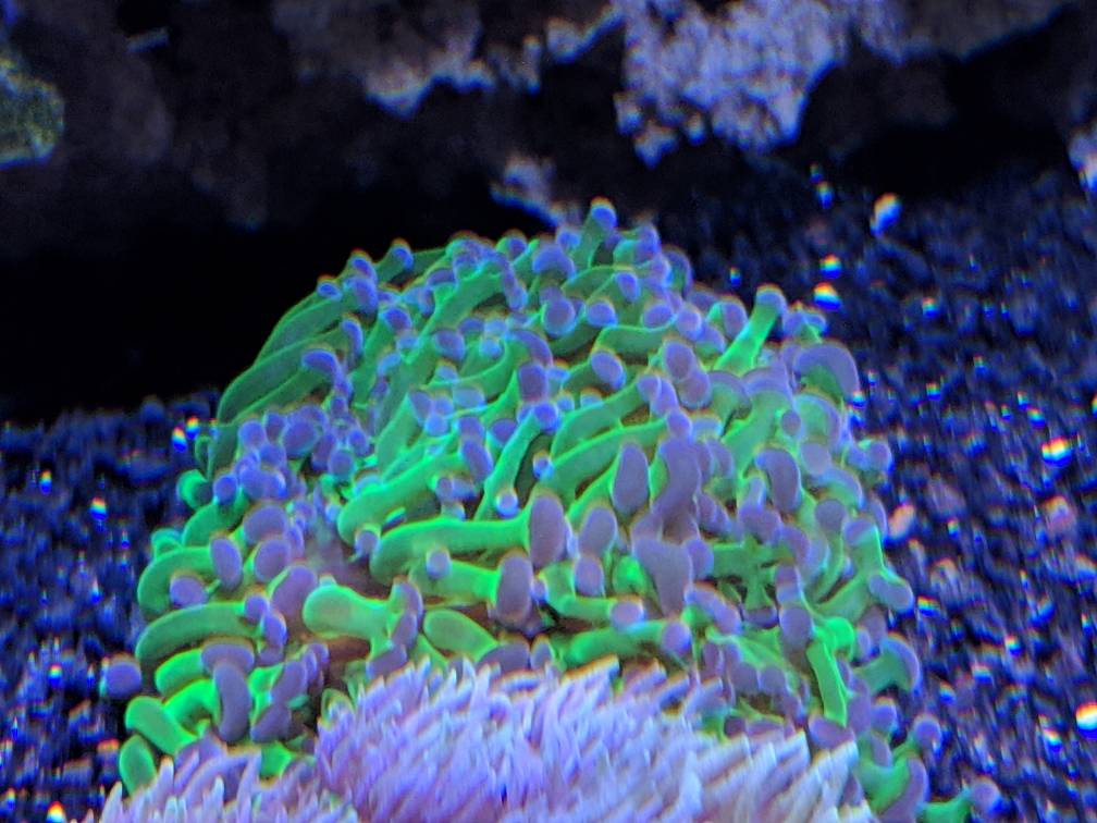 e6df445cb3e98ef2d66743216180d98d.jpg