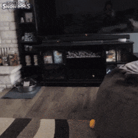 Sneak Attack Jump GIF by Gone to the Snow Dogs