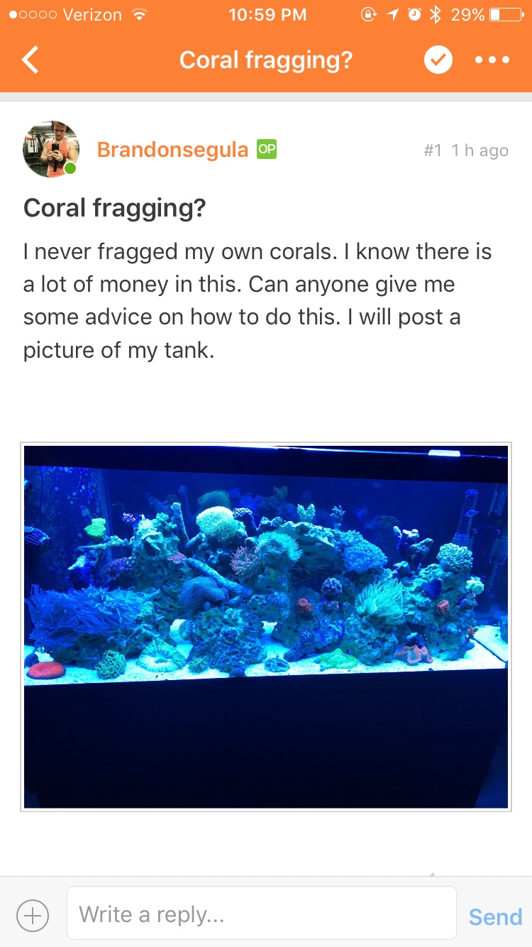 c46a96298879d263eddcaec0952182cd.png