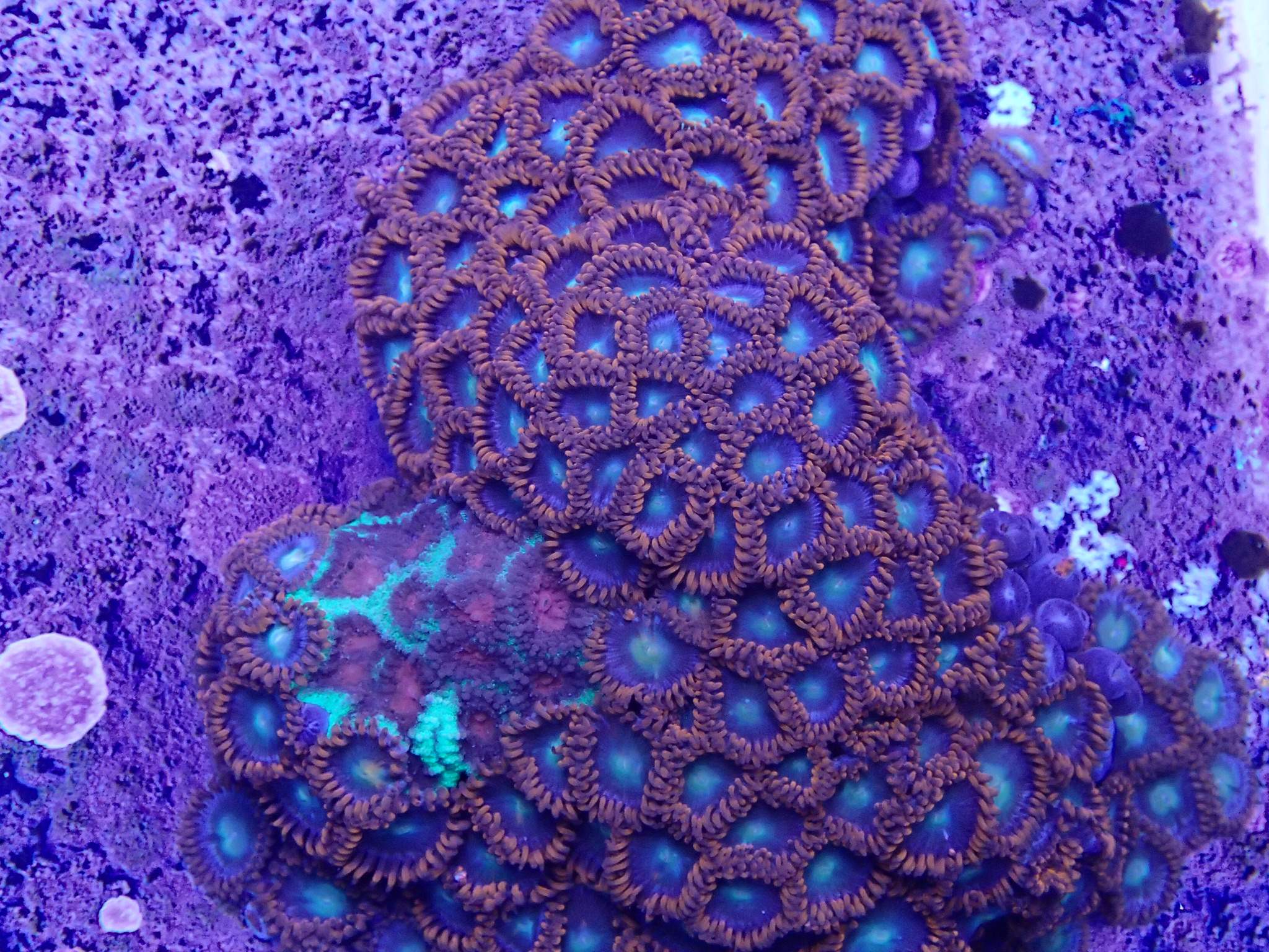 pjqyx9m.jpg