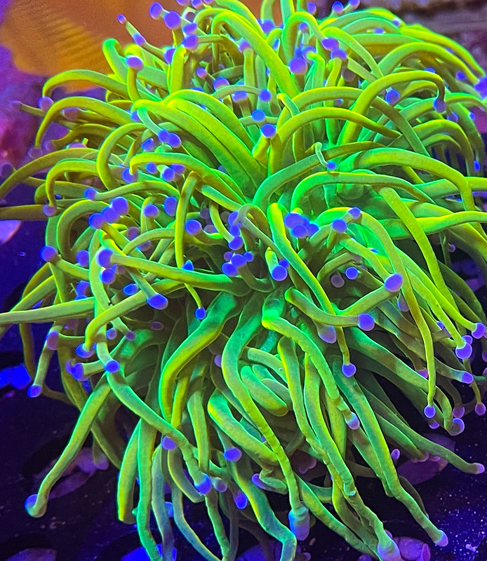 52661276476_c87f174d03_c.jpg