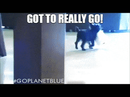Tp Have To Go GIF by Planet Blue