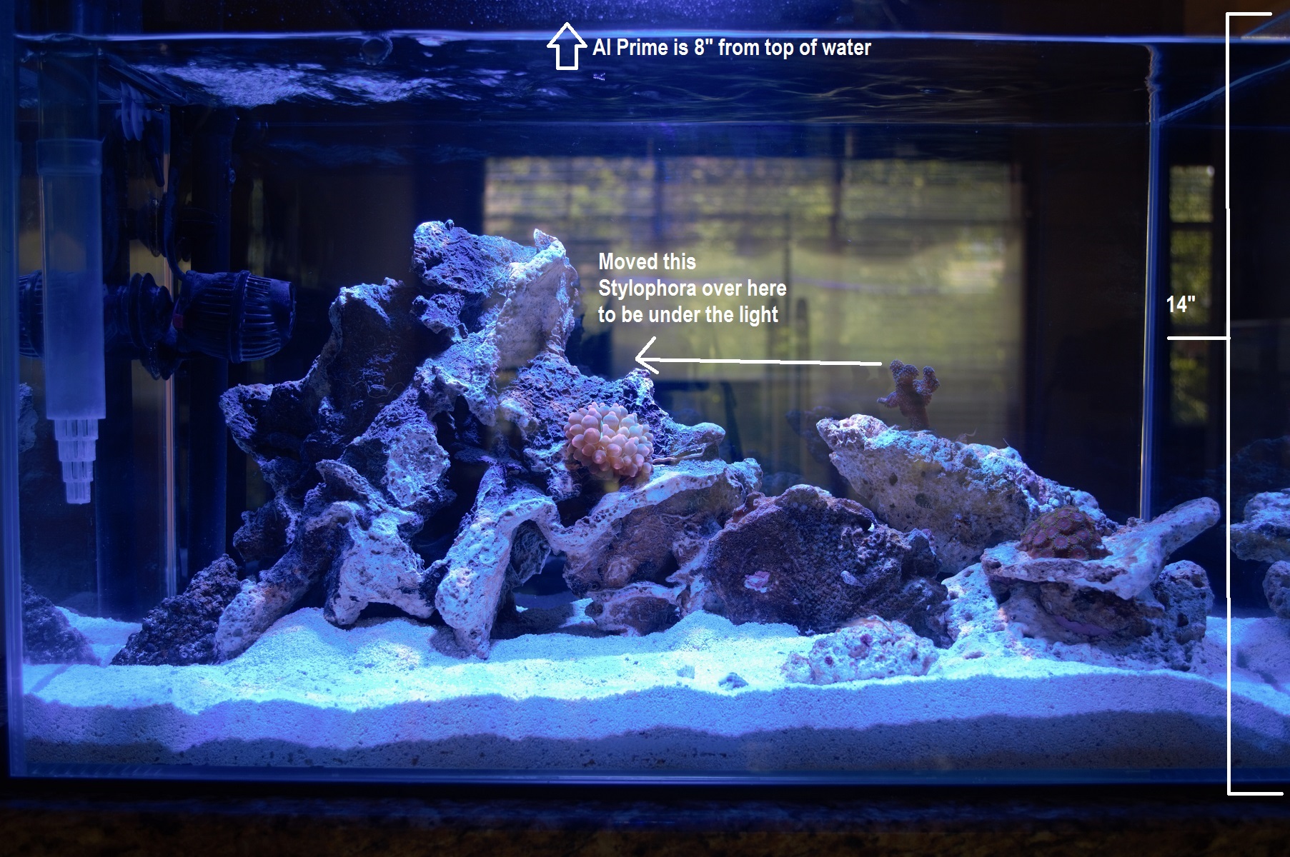 FTS.jpg