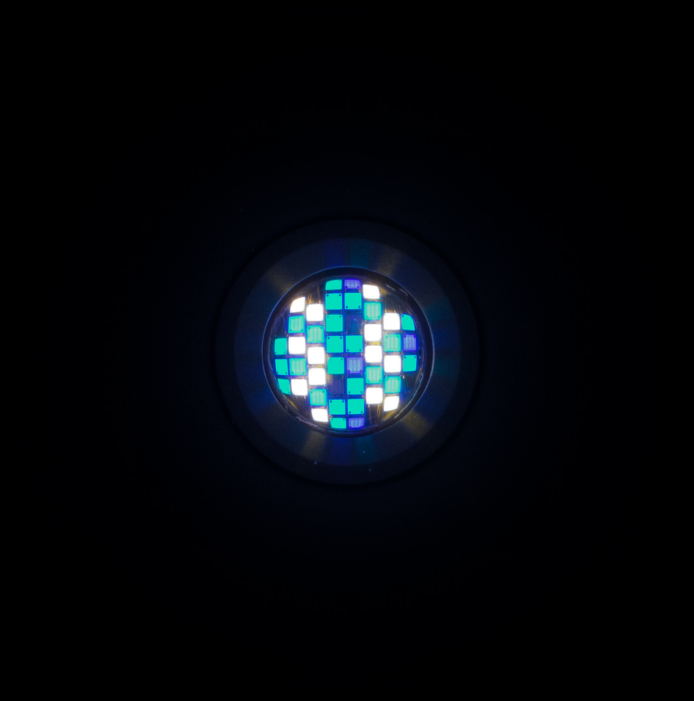 36552607694_7f882978cc_b.jpg