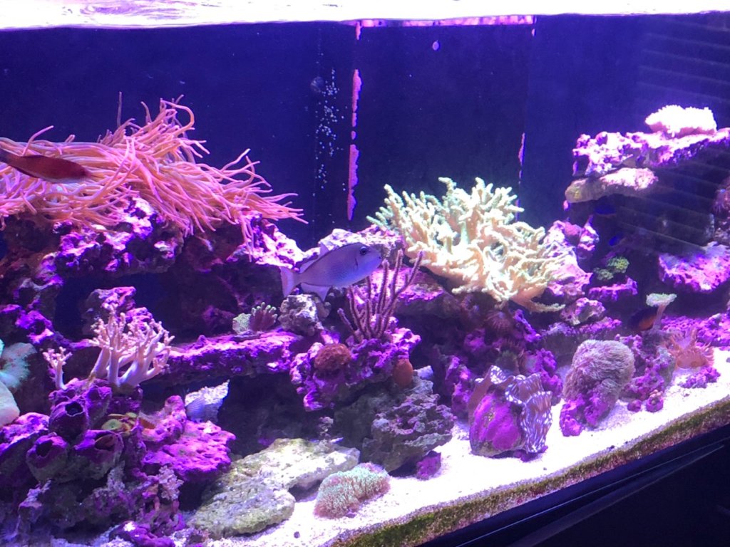 56d8118149274e048c8c3e027a9f920c.jpg