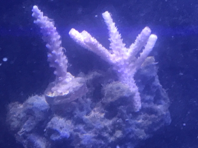 ede3c7204fa3e63e1cb8768e4677b2d9.jpg