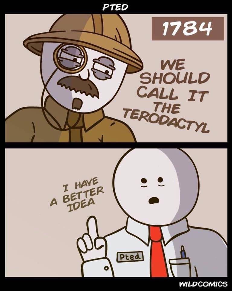Q7fmPoz.jpg