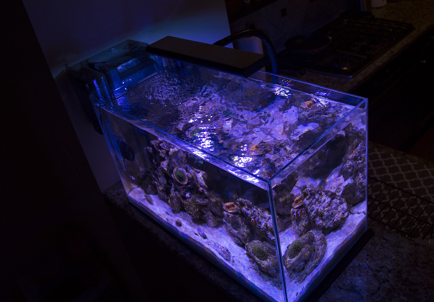 Tank1.JPG