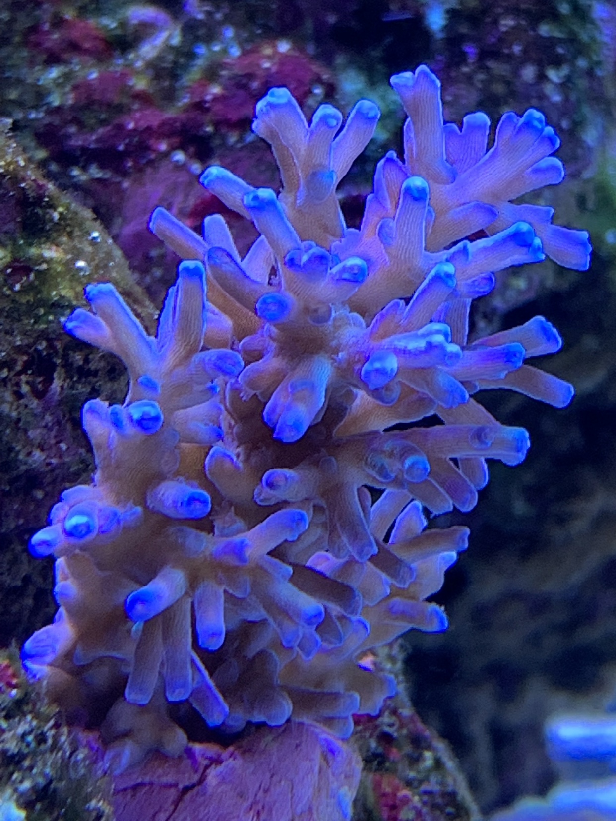 fbfd32356776e5d8f2f0c71a395bc65b.jpg
