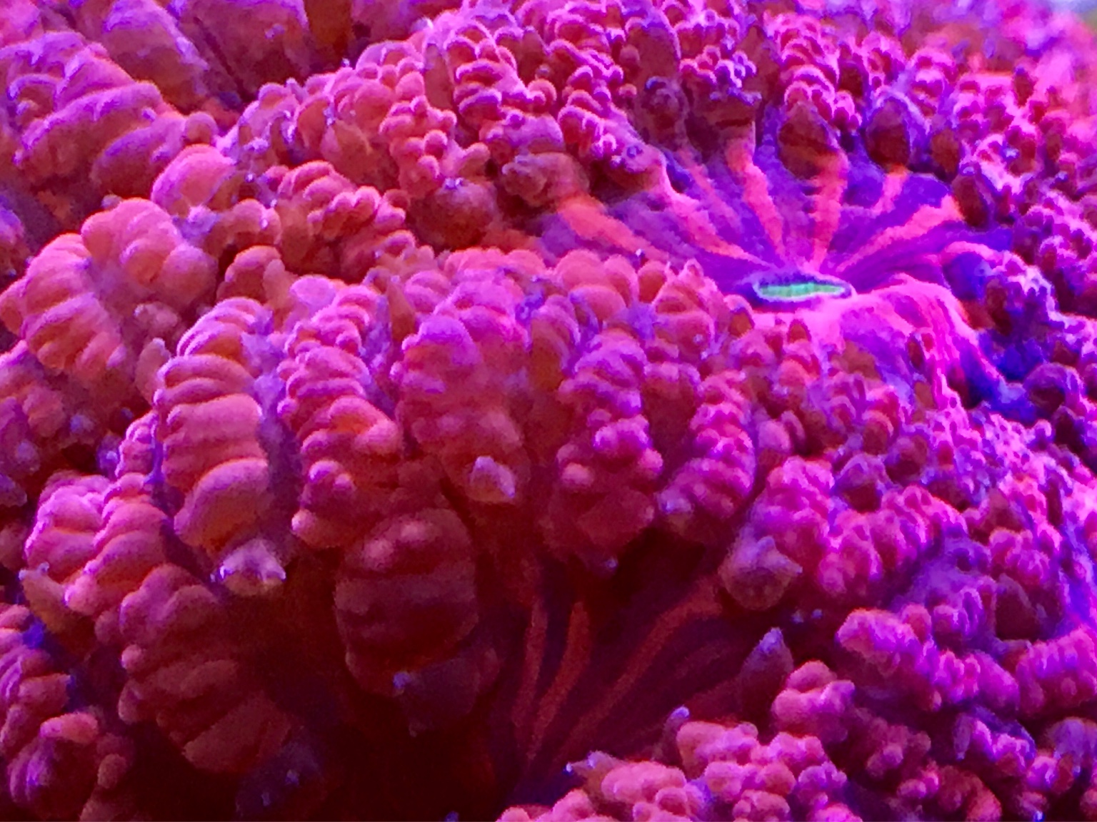 e811d4e7ade02dda1f1dcaa8fc039478.jpg