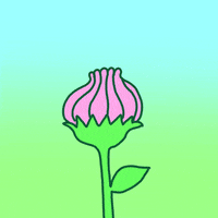 Flower Hello GIF