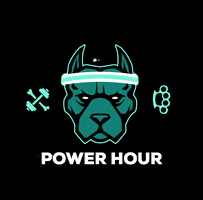 Power Hour GIF by Canine Cardio Nova
