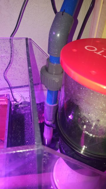 7pbp1cml.jpg