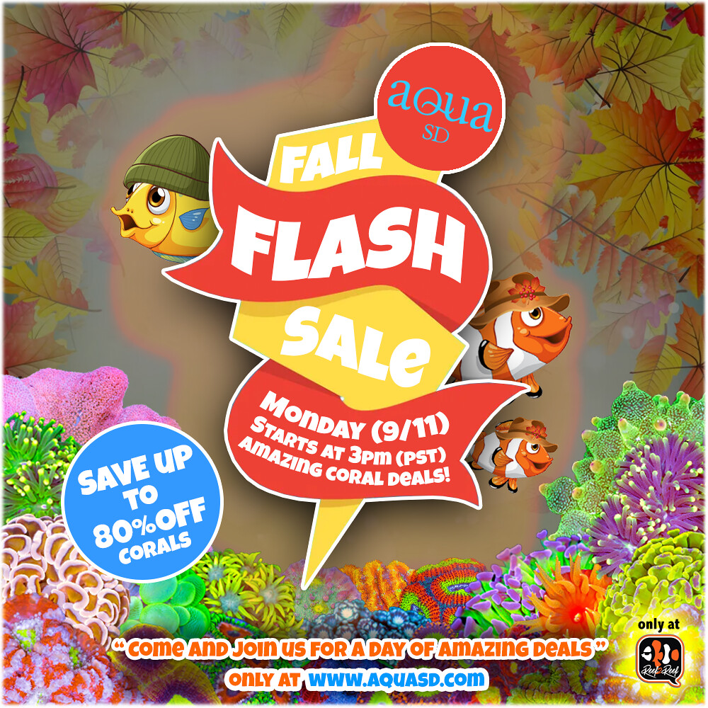 R2R FLASH SALE - $1, $2, $3, $4, $5 Corals! Deals End  display picture 1