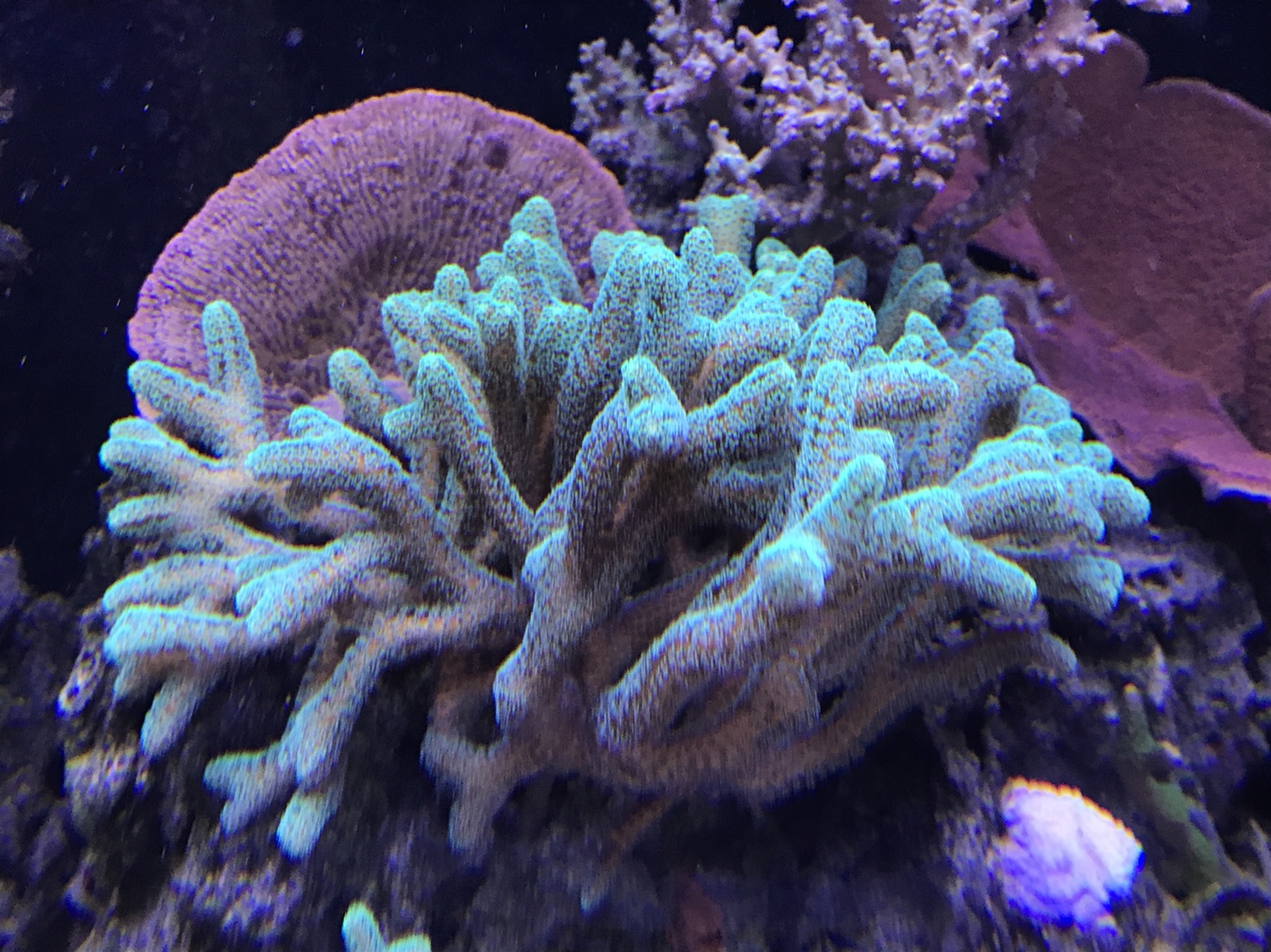 5950c011e2e6f277ab6ebd3360262a19.jpg