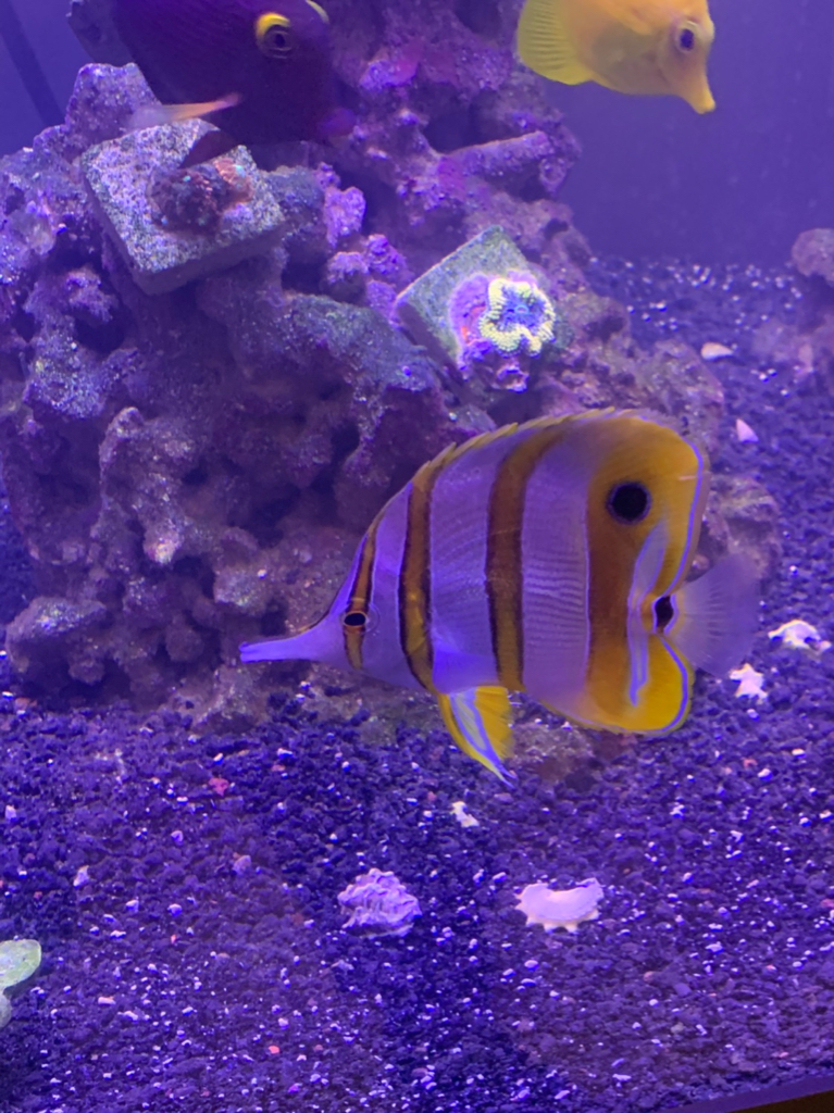 c8f707bc3d3dcea0ebb0578d121e9faf.jpg