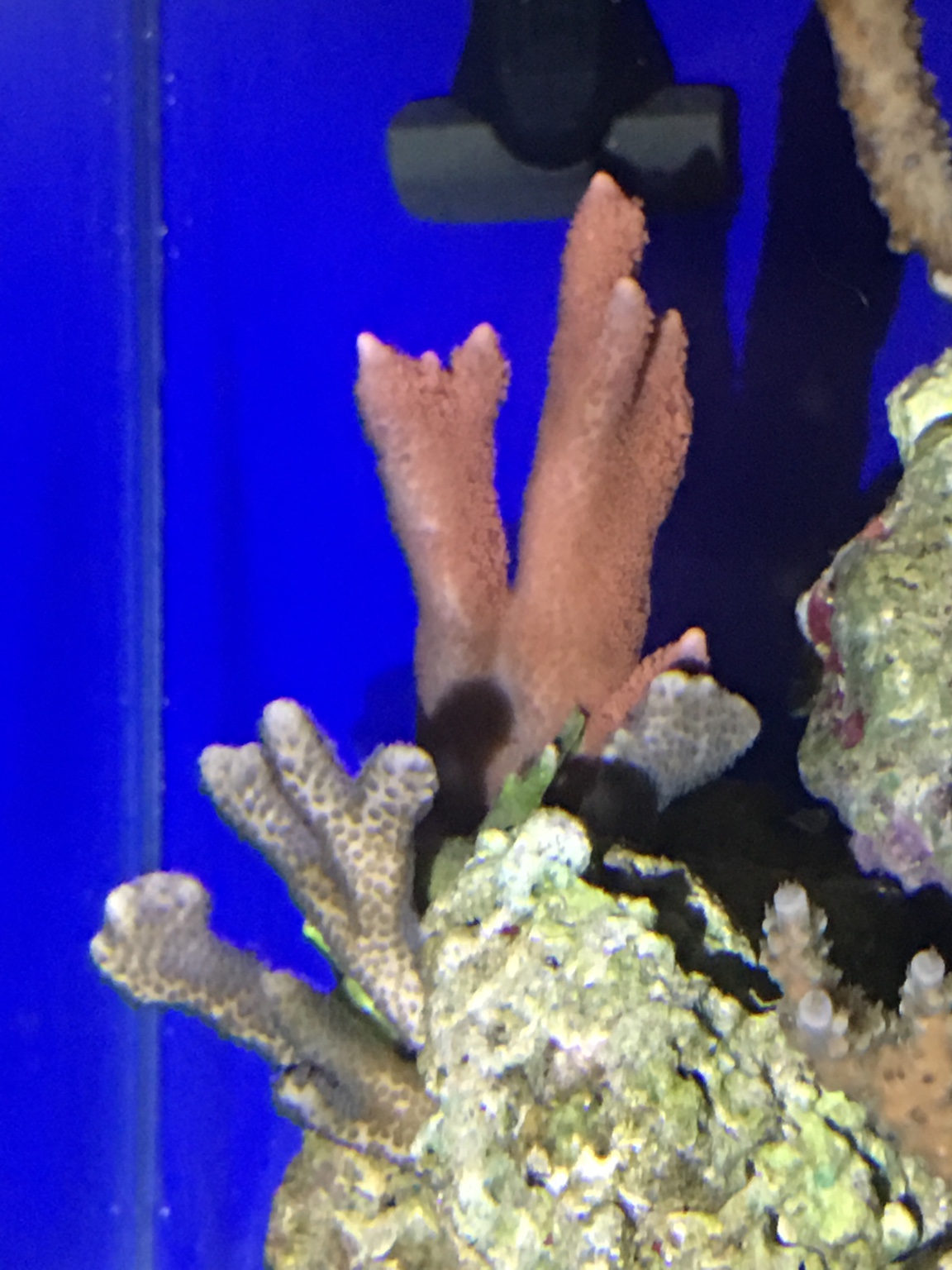 8a68db3e8557bdb8630e735e46ea7ccb.jpg