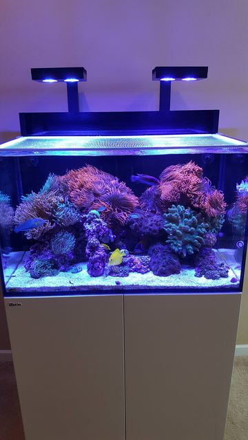 5gee51Bl.jpg