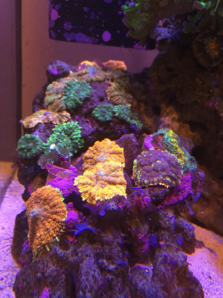ece3d584261da4ca0ab793daea7c1e15.jpg
