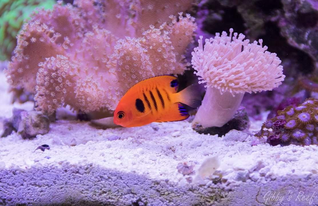 06d42b73fa14da365d2f9757edbb298b.jpg
