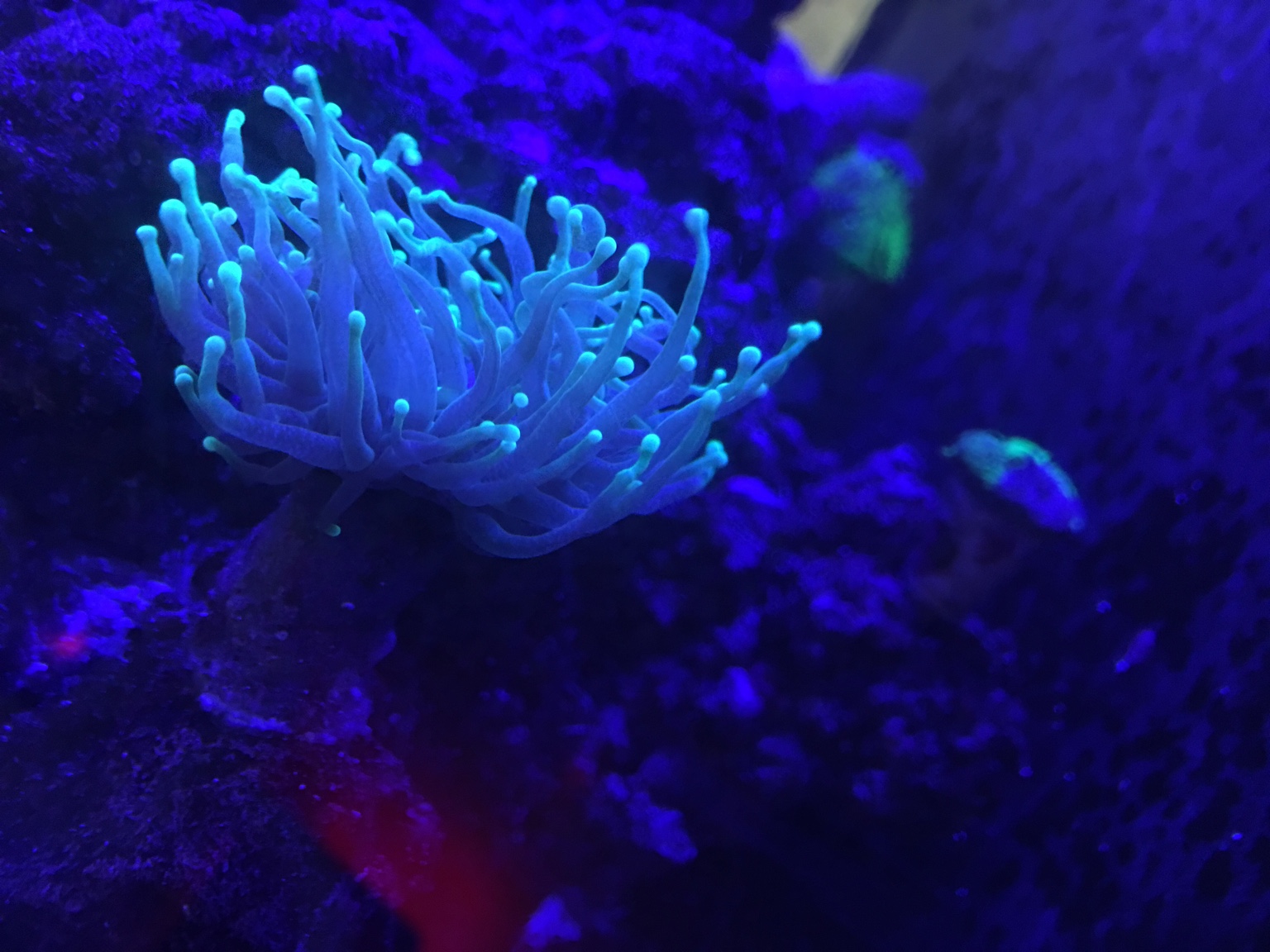 8251c4b9f56580e38ca2c7fd1d41c2b4.jpg