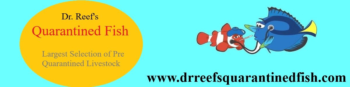 banner1200x300.jpg