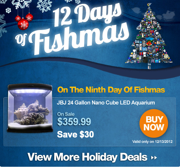 The 12 Days of Fishmas: DAY 9  REEF2REEF Saltwater and Reef