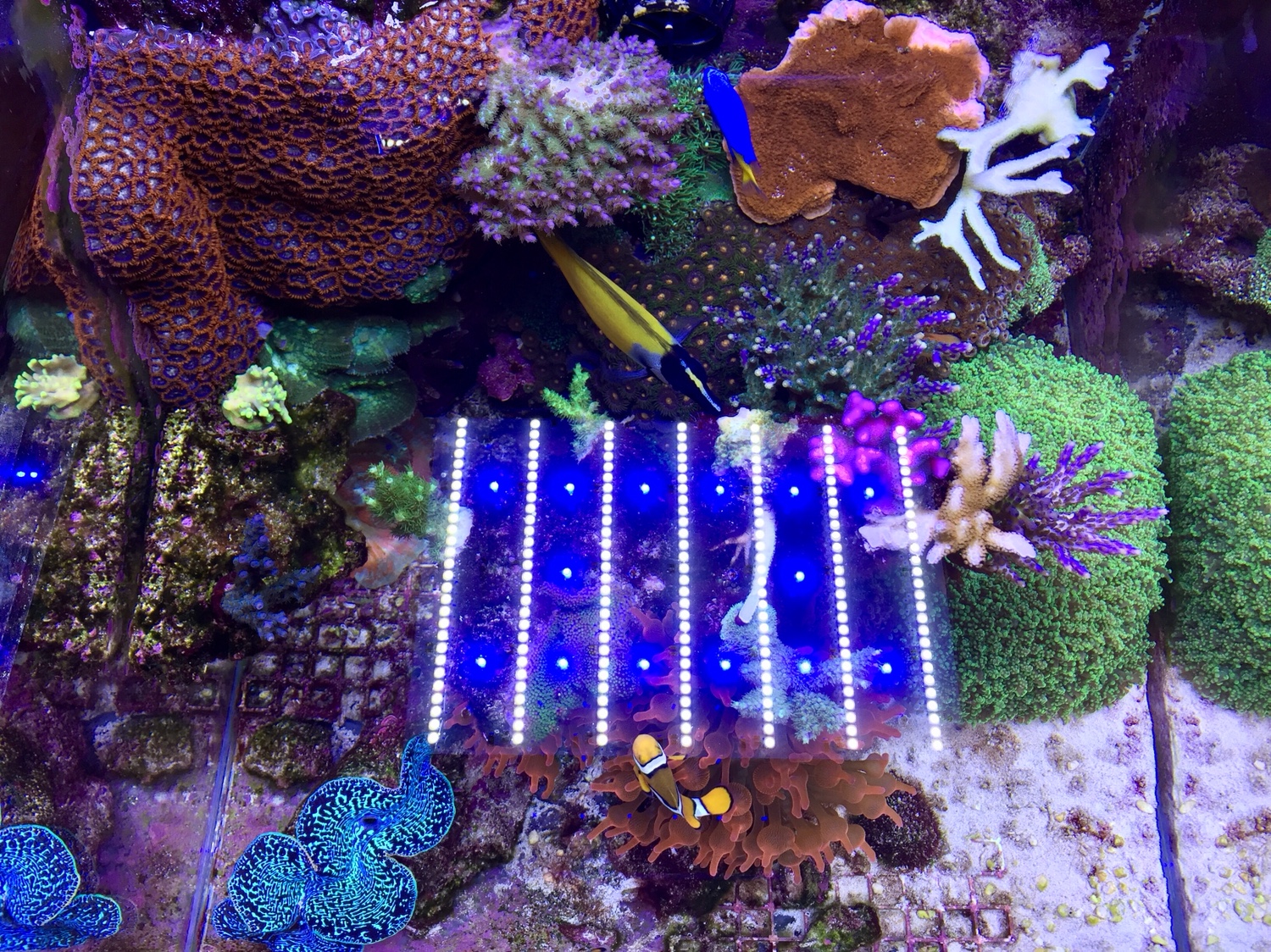 6ffcd1059ef98fcda85ef8e72e0c9cb4.jpg