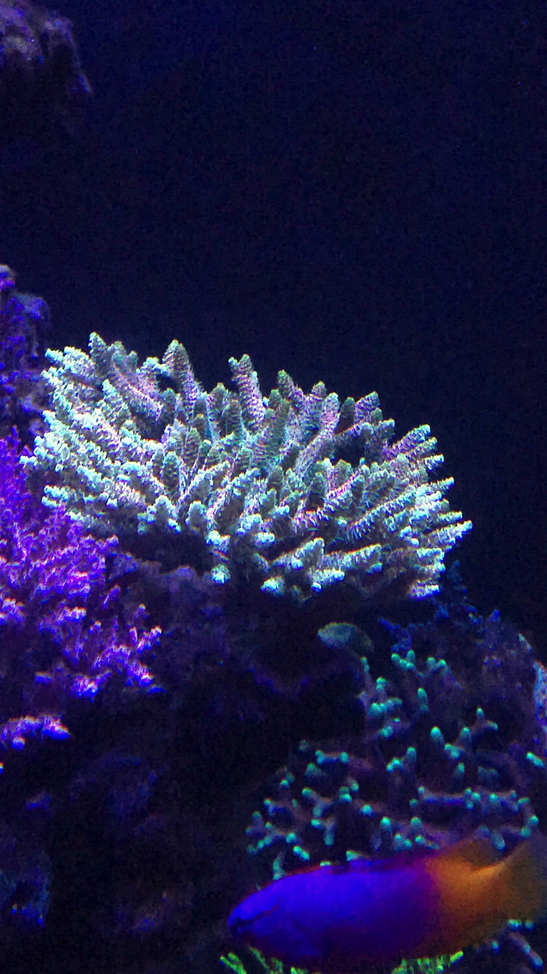 c064bdf77df2aafba2493d7bef01057f.jpg