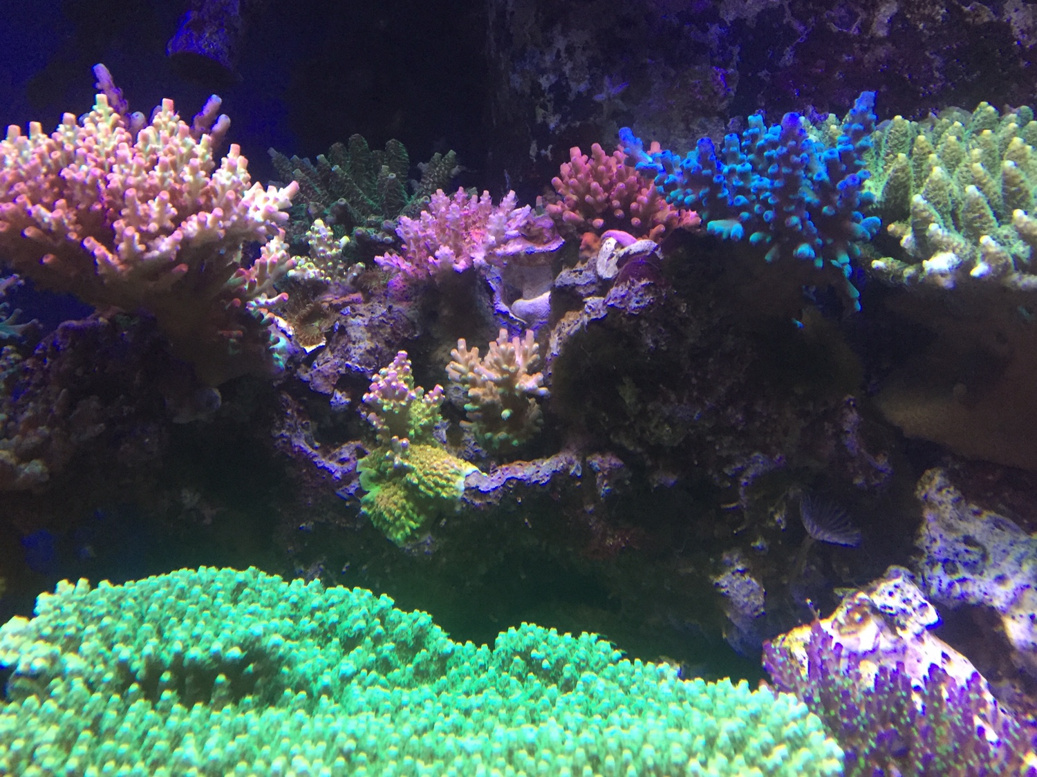 0400d6e71f2ffc4de4d68c6d896064dd.jpg